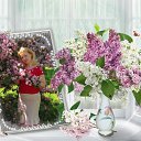 ���� ����, ���������, 53 ���� - ��������� 31 ��� 2011 � ������ ������Ż