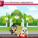  , , 47  -  20  2010   PetLove