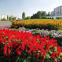  (  ),  , 54  -  3  2010    