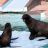 ���� �����, ������, 62 ���� - ��������� 25 ��� 2011 � ������ �������� ��������. �. ������.�