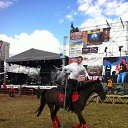 ���� ���� ��������, �������, 69 ��� - ��������� 22 ������� 2012 � ������ �1812�