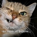 ���� ���, ������, 49 ��� - ��������� 14 ������� 2011 � ������ �������