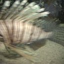 ���� ����, ��������, 50 ��� - ��������� 9 ������ 2012 � ������ �������