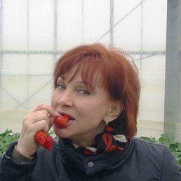 ���� Ninulya, �����������, 85 ��� - ��������� 26 ������� 2012