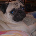 ���� �����!, �������, 48 ��� - ��������� 23 ������ 2011 � ������ ���� ���� ��������!�