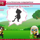  , --, 34  -  6  2010   PetLove