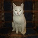 ���� ������, �����������, 32 ���� - ��������� 10 ������ 2012 � ������ ���� ����������