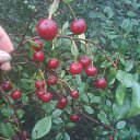 ���� �������, �����������, 53 ���� - ��������� 6 ������� 2010 � ������ �������