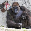 ���� �������, ������, 44 ���� - ��������� 24 ��� 2012 � ������ ���� ����������