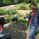 ���� �����a, ������� - ��������� 4 ���� 2011 � ������ ���� ����������