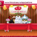  ,  , 40  -  11  2010   PetLove