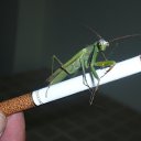 ���� ���������, ������, 61 ��� - ��������� 11 ������� 2012 � ������ ������� �������.�