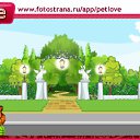 ���� ��������, ����������, 36 ��� - ��������� 13 �������� 2010 � ������ �PetLove�