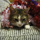 ���� ���, ������, 24 ���� - ��������� 5 ������ 2010