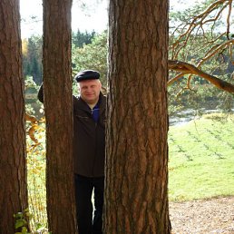 ���� ��7, ������, 56 ���