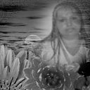  Renata, , 49  -  22  2011    