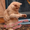���� ������, ������ - ��������� 16 ��� 2010 � ������ ���������