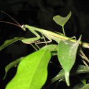 ���� ���, ����� - ��������� 27 ������� 2012 � ������ ���� ����������