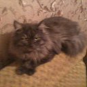 ���� Sergei, �����������, 44 ���� - ��������� 15 ������� 2012