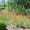 ���� ���������, ������ - ��������� 31 ��� 2011 � ������ �����