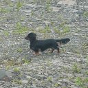 ���� &deg;&bull;*������&deg;&bull;*, ����������, 23 ���� - ��������� 15 ��� 2010 � ������ ���� ��������