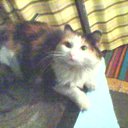 ���� �����, ������������, 38 ��� - ��������� 4 ������� 2012 � ������ ���� ��������