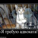 ���� ����, ������, 42 ���� - ��������� 24 ������� 2012 � ������ �������