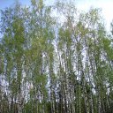 ���� �����, ������, 51 ��� - ��������� 20 ������� 2010 � ������ ������ � ��� ����������