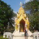 ���� �����, ���� - ��������� 26 ������ 2011 � ������ ���� ����������