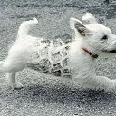 ���� Edgarihe, ����������� - ��������� 29 ������ 2011 � ������ ������ ��������