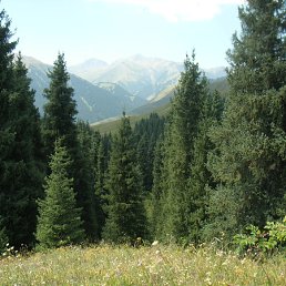 ���� �������, ������, 52 ���� - ��������� 12 ������ 2011