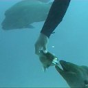 ���� ������, �����-���������, 60 ��� - ��������� 7 ������� 2011