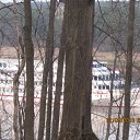 ���� ���, ������, 30 ��� - ��������� 6 ������� 2010 � ������ ��������