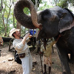 ���� ������, �������, 55 ��� - ��������� 25 ������ 2011