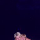 ���� ��������, ����� - ��������� 13 ���� 2012 � ������ ���� ����������