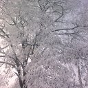 ���� �����, ���������, 56 ��� - ��������� 24 ������� 2012 � ������ ���� ����������
