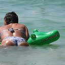 ���� ��������, ������ - ��������� 8 ������ 2013 � ������ ���� ����������