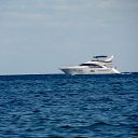 ���� Kudrik, ������, 38 ��� - ��������� 16 �������� 2012 � ������ �������