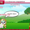  , , 37  -  25  2010   PetLove