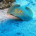 ���� �������, �������, 31 ��� - ��������� 2 �������� 2011 � ������ �������