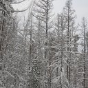 ���� ���, ����-���, 47 ��� - ��������� 14 ������� 2010 � ������ �������