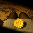 ���� ������� . �� ������� ., �����������, 64 ���� - ��������� 28 ���� 2011 � ������ ���� ����������