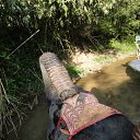 ���� �������, ����, 38 ��� - ��������� 31 ����� 2012 � ������ �������