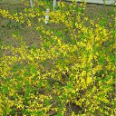 ���� ���� ����, ����������, 50 ��� - ��������� 19 ����� 2010 � ������ ������-2009�