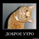 ���� Katoteshi, �������, 45 ��� - ��������� 11 ������� 2011 � ������ ������
