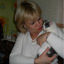 ���� �����, ��������, 54 ���� - ��������� 25 ������ 2011 � ������ ���� ����������