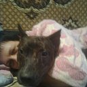 ���� �����, ����������, 50 ��� - ��������� 2 ������� 2012 � ������ ���� ����������