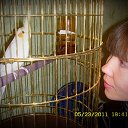 ���� ˸����, ���������, 37 ��� - ��������� 10 ���� 2012 � ������ ���� ����������