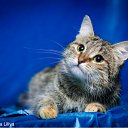 ���� �����, ������� - ��������� 22 ���� 2012 � ������ ���� ����������