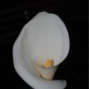  , , 44  -  12  2010   